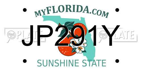 JP291Y Florida License Plate