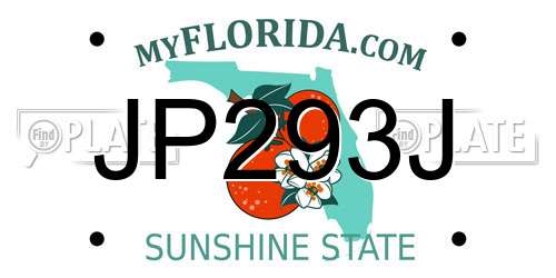 JP293J Florida License Plate