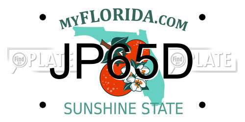 JP65D Florida License Plate