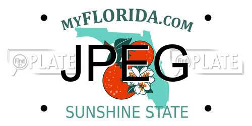 JPEG Florida License Plate
