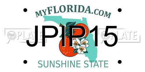 JPIP15 Florida License Plate