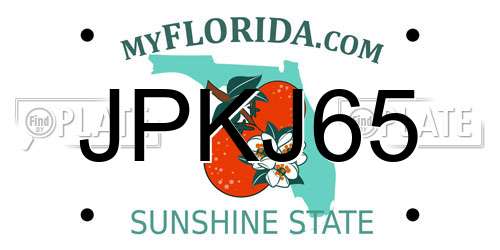 JPKJ65 Florida License Plate