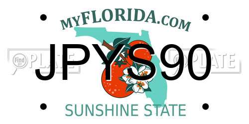 JPYS90 Florida License Plate