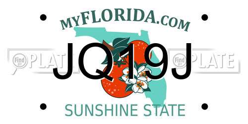 JQ19J Florida License Plate