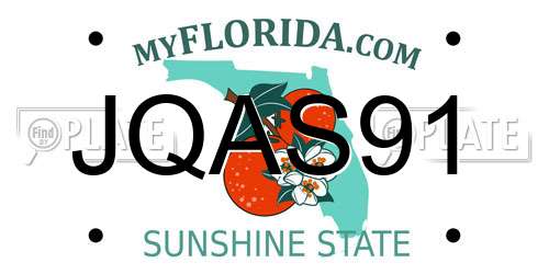 JQAS91 Florida License Plate