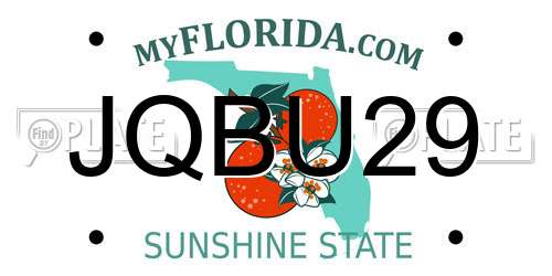 JQBU29 Florida License Plate