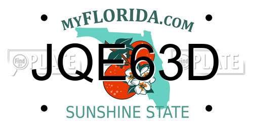 JQE63D Florida License Plate