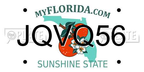 JQVQ56 Florida License Plate