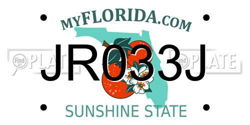 JR033J Florida License Plate