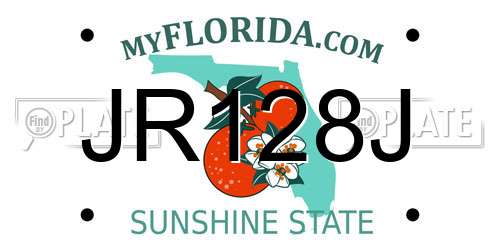 JR128J Florida License Plate