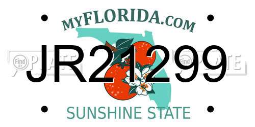 JR21299 Florida License Plate