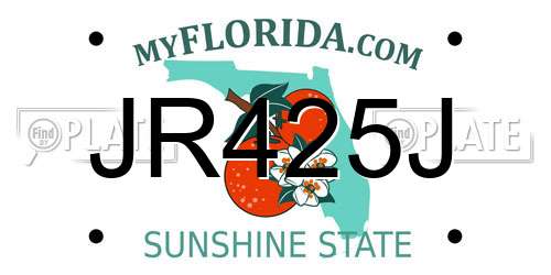 JR425J Florida License Plate