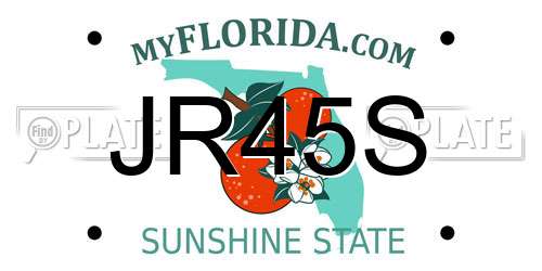 JR45S Florida License Plate