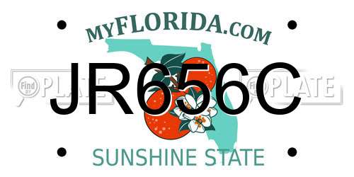 JR656C Florida License Plate