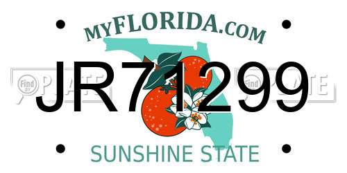 JR71299 Florida License Plate
