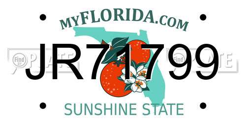 JR71799 Florida License Plate