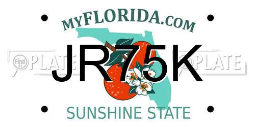 JR75K Florida License Plate