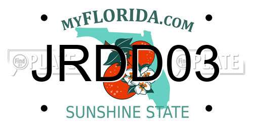 JRDD03 Florida License Plate