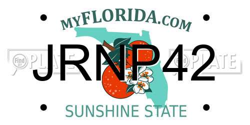 JRNP42 Florida License Plate