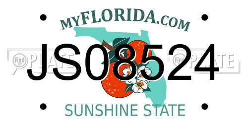 JS08524 Florida License Plate
