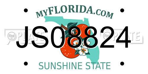JS08824 Florida License Plate