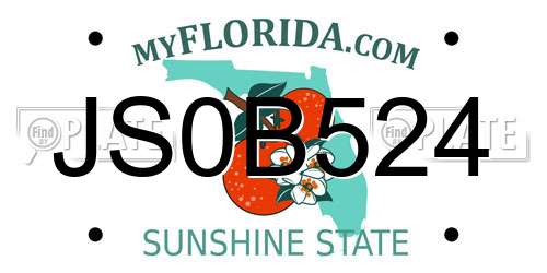 JS0B524 Florida License Plate