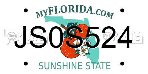 JS0S524 Florida License Plate
