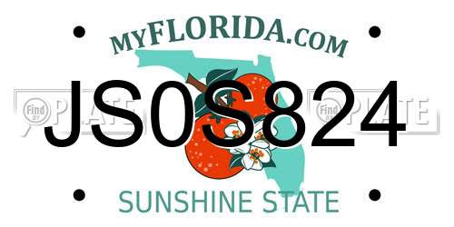 JS0S824 Florida License Plate