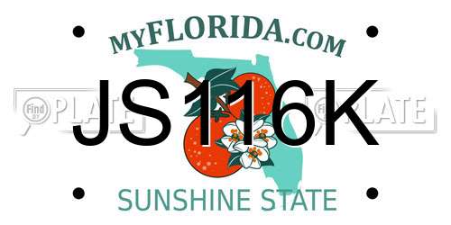JS116K Florida License Plate
