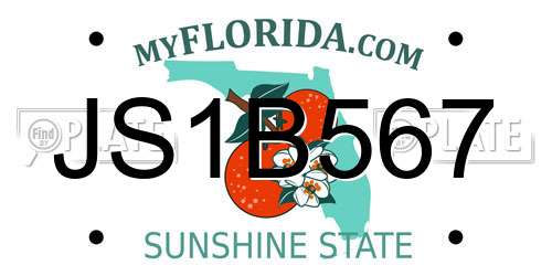 JS1B567 Florida License Plate
