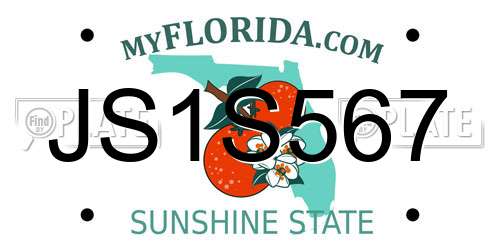 JS1S567 Florida License Plate