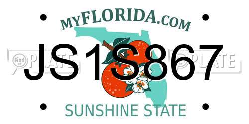 JS1S867 Florida License Plate