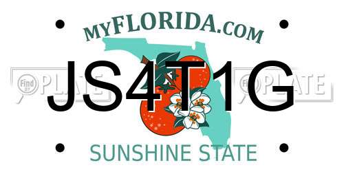 JS4T1G Florida License Plate