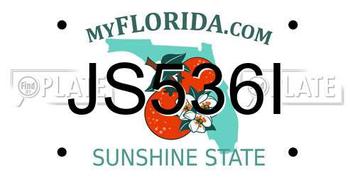 JS536I Florida License Plate