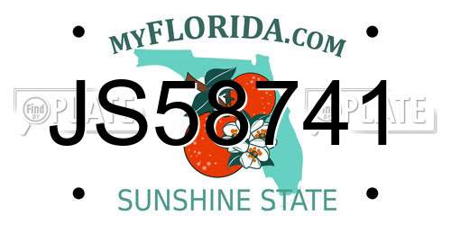 JS58741 Florida License Plate