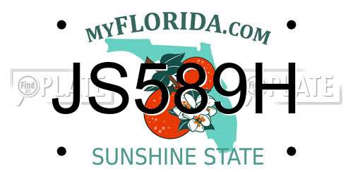JS589H Florida License Plate