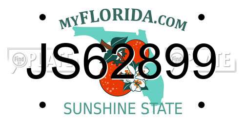 JS62899 Florida License Plate