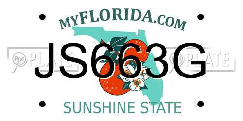 JS663G Florida License Plate