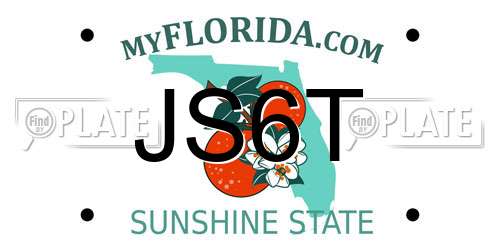 JS6T Florida License Plate
