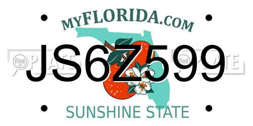 JS6Z599 Florida License Plate