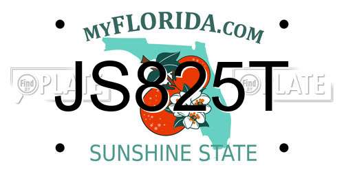 JS825T Florida License Plate