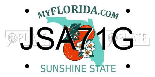 JSA71G Florida License Plate