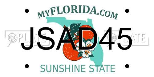JSAD45 Florida License Plate