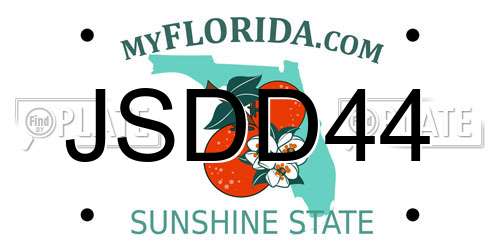JSDD44 Florida License Plate