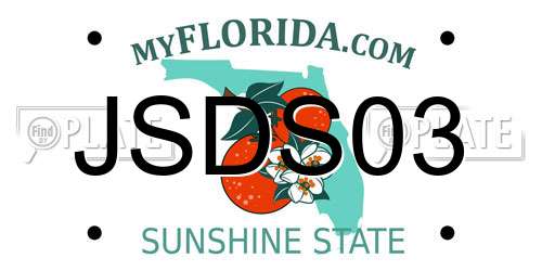 JSDS03 Florida License Plate