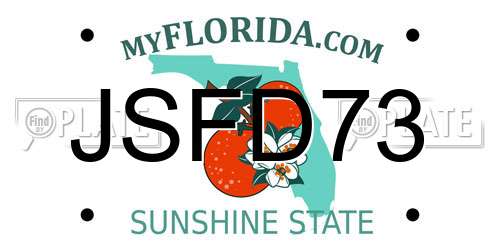 JSFD73 Florida License Plate