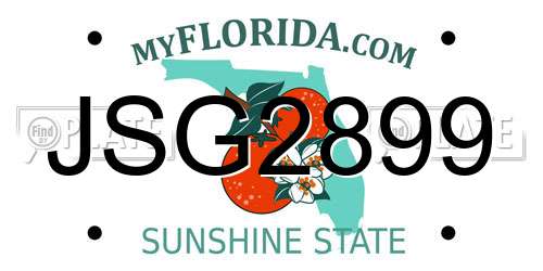 JSG2899 Florida License Plate