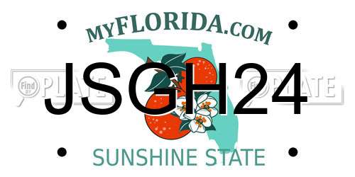 JSGH24 Florida License Plate