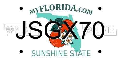 JSGX70 Florida License Plate