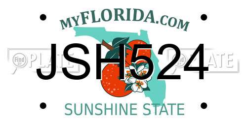 JSH524 Florida License Plate